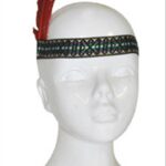 Plume d'indien