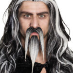 Moustache et barbichette de sorcier