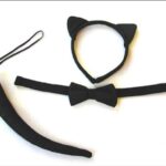 Set de chat noir