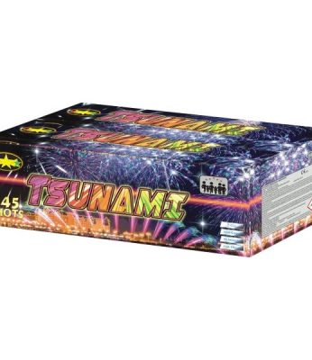 Tsunami