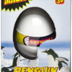 Œuf de pingouin grossissant