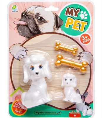 Famille de chien et accessoires